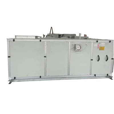 Sprādziendrošs{0}}centrbēdzes ventilators